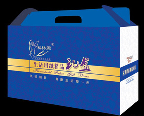 各种卫生纸卷纸，卫生纸盘纸，擦手纸，等生活用纸