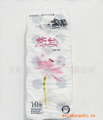 供应高档卫生纸/卷筒卫生纸批发/生活用纸/有芯卷纸