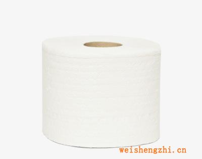 批量直销供应13-50克木浆辊筒纸卫生纸量大优惠