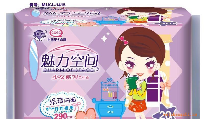 厂家直销《魅力空间少女系列》20片夜网卫生巾