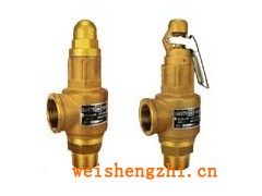 A27W-10T全铜安全阀