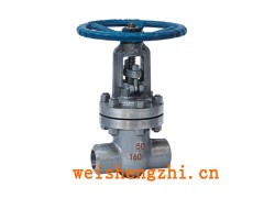 销售Z61Y-16C焊接式闸阀