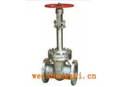 销售DZ41Y-16C美标低温闸阀