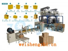 海口小袋全自动计数装箱机，酱油醋自动装箱机