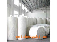 供应挂浆、喷浆纯木浆大轴、杠纸、大盘纸，山东晨鸣纸业喷浆纸