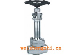 优惠销售DJ41W-16P低温截止阀