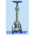 DJ41Y API低温截止阀