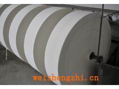 河北盘纸价格优惠新宇纸业