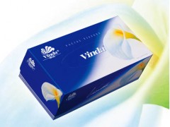 维达盒抽|天津卫生纸生产厂家|天津酒店用纸|天津宾馆用纸