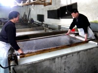 曹光华：宣纸传承独具匠心