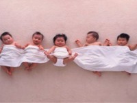 纸尿裤等进口产品高达70%不合格