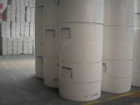 全球绒毛浆产量2020年将增至730万吨