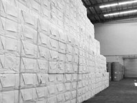 中国成为巴西一大纸浆出口目的地国