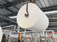 广东东莞53家造纸企业已停产关闭