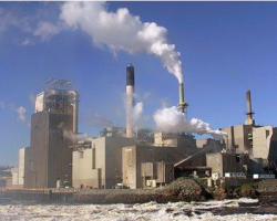 造纸企业迎来大考验