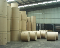 淮河流域可建造纸厂？