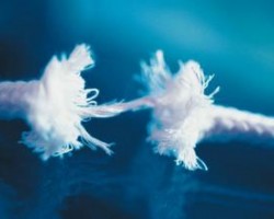 《全球造纸工业报告》：全球造纸业转型危与机