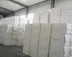 规模化纸浆原料产业落户新疆