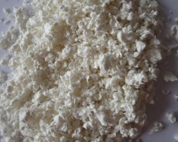 林、浆、纸的一次拥抱