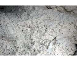 全球大的纸浆厂有望投产，纸浆上涨或得到缓解