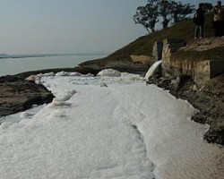 如何解决造纸行业的污染