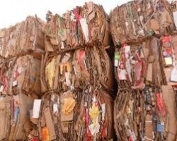 美国进口废纸被退运