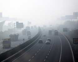 生活用纸行业的“雾霾”