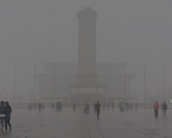 多地造纸企业停产，产能大大减少