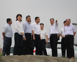 东海岛:中央商务区下月挂牌 白卡纸项目月底动工