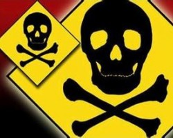 餐厅漂亮托盘纸披着毒外衣