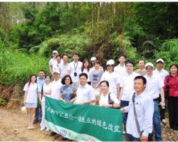 APP领衔造纸业的绿色改变