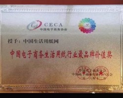 热烈祝贺中国生活用纸网被授予“中国电子商务生活用纸行业具品牌价值奖”