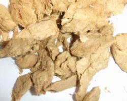 竹浆造纸将是未来造纸主要趋势