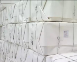 影响卫生纸的因素---纸浆