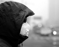 受环保停产影响河南出现深度纸荒 纸箱厂提前加10%预算抢购明年原