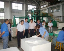 造纸专家为文化纸行业把脉