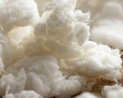 目前市场上哪一种纸浆赚钱?