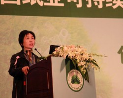 江曼霞：我对中国卫生纸市场持较乐观态度
