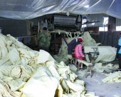 安徽省取缔30多家造纸小企业