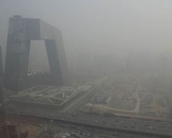 去年环保局在北京执法的成果