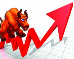 尼日利亚包装行业进入快速发展期