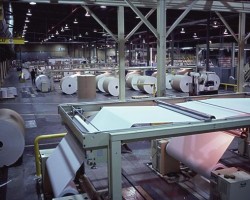 广东造纸企业新变动