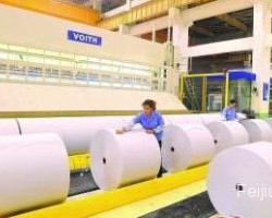 生活用纸行业现状分析