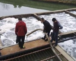 某造纸厂顶风作案被查封