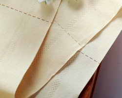 本色卫生纸占领市场