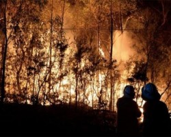 纸浆纸张价格或上涨