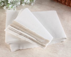 平板卫生纸加工设备都有什么