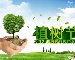 春林初生，亚太森博植树节忙植树