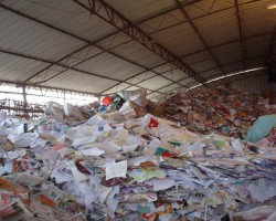 纸价或继续涨，应该提高废纸利用率