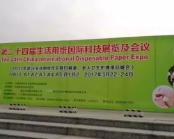 CIDPEX2017武汉生活用纸年会开幕